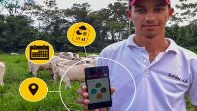 solidaridad celular aplicación