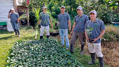 colombia economía colaborativa