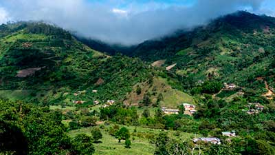finca café colombia