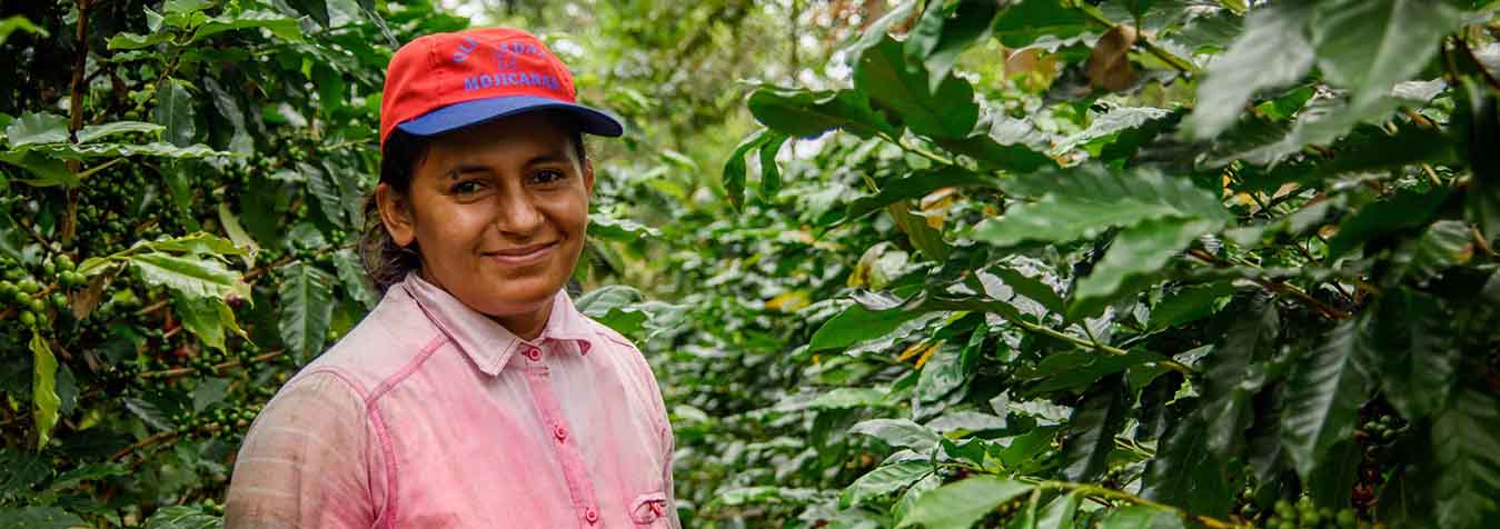 caf&eacute; encabezado