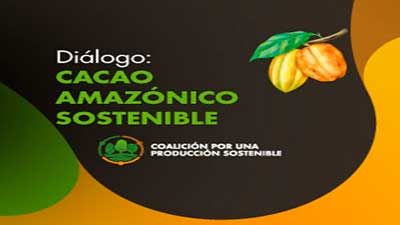 cacao amazónico sostenible