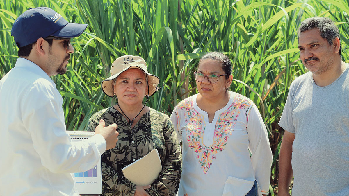 Solidaridad_MasCaña_Mexico_Bonsucro_Bayer_Pantaleón_Caña_Azúcar_Productores_PanameriCaña