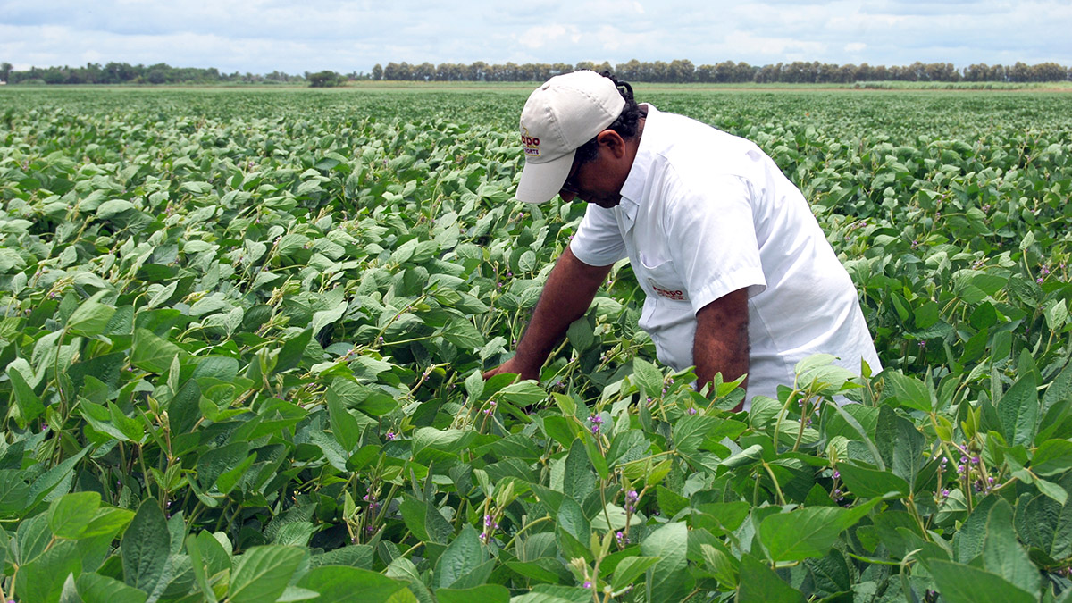 Soya Sostenible, Bolivia, capacitacion, El Litoral y San Padro, Solidaridad 3