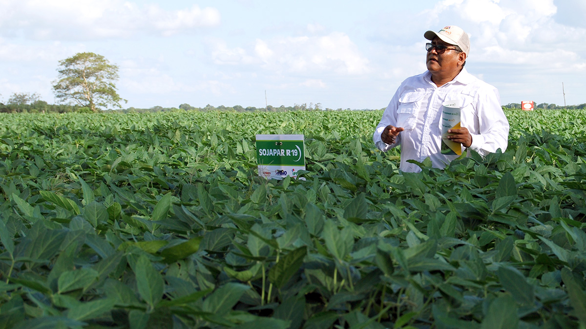 Soya Sostenible, Bolivia, capacitacion, Okinawa 1, Solidaridad 3