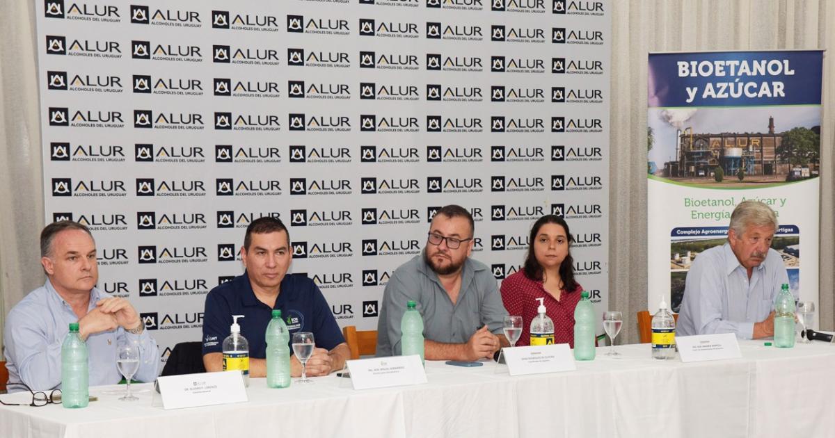 Proyecto Bonsucro con Alur y Solidaridad en Uruguay