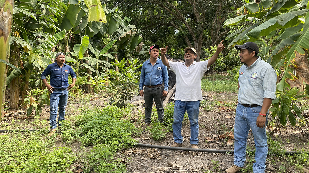Solidaridad-Rafael-Orantes-Palma-México-Productor-Sostenible-Estudio de Caso