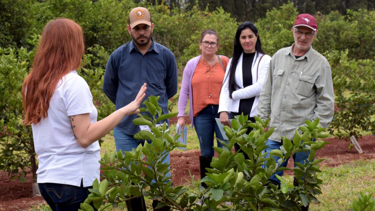 D&iacute;a de Campo, Fruto Resiliente