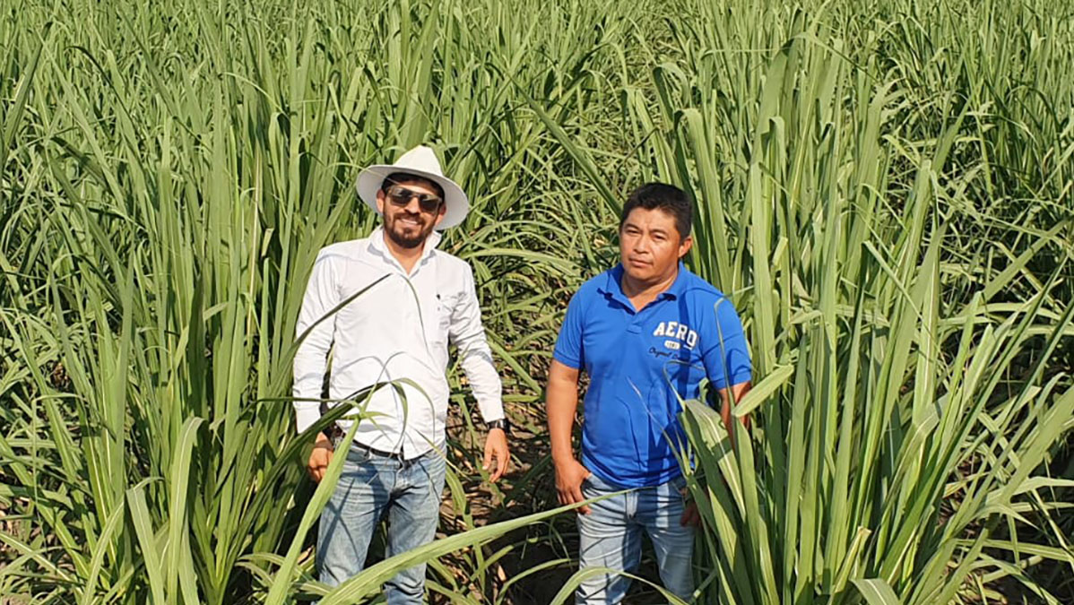 Solidaridad-Gumercindo-Productor-Caña-Aceite