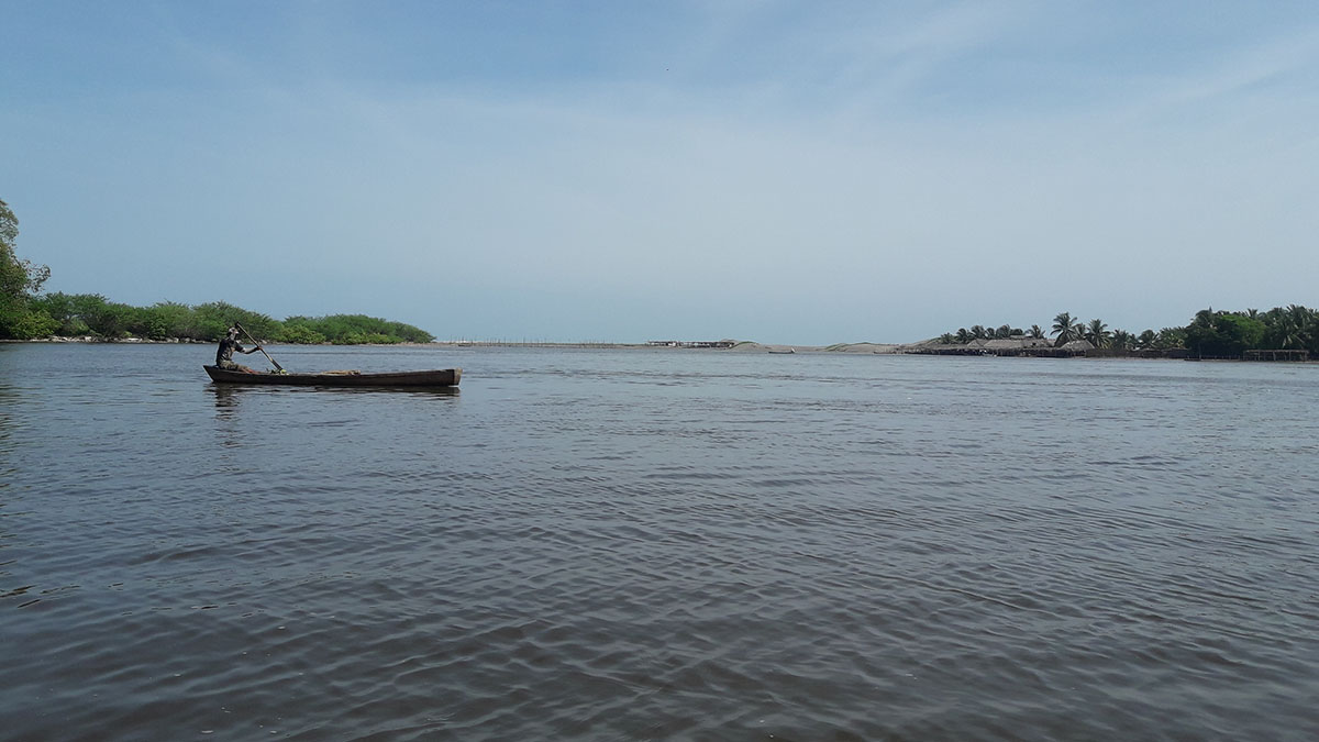 Solidaridad-Rainforest-Alliance-Guatemala-Manglar-Manchón-Caso-de-Estudio
