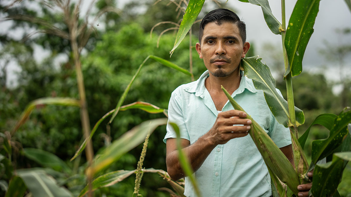 Solidaridad-Santos-Huracán-Julia-Ayuda-Centroamérica