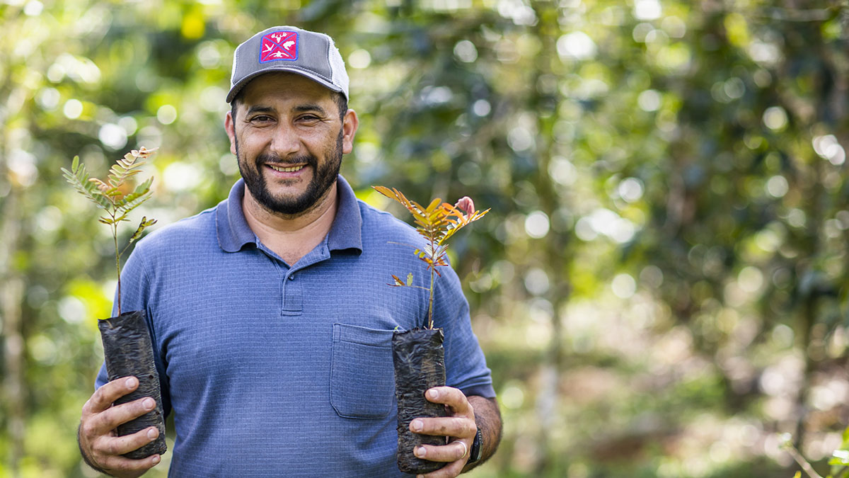 Solidaridad-Dreamfund-Nicaragua-Arboles-Huella-Carbono-Acorn-Financiamiento-Sostenible-Café