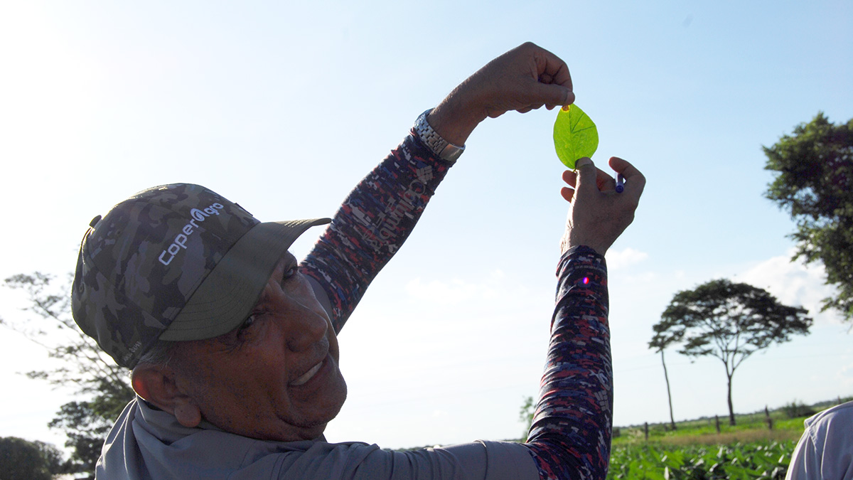 Soya sostenible, capacitaci&oacute;n en campo en Bolivia
