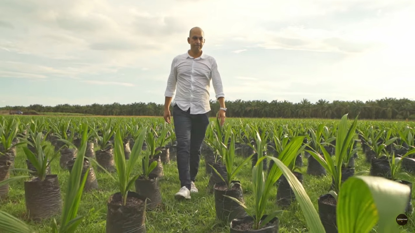 Palmicultores Cesar certificaci&oacute;n RSPO