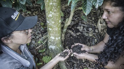 Incasbono(1)detalle (1)