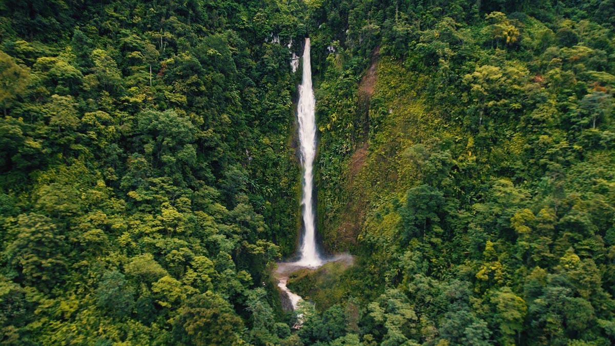 Solidaridad-Guatemala-Paisaje-Reserva-Vergel-Sostenible-Quch-Financieminto-Climático