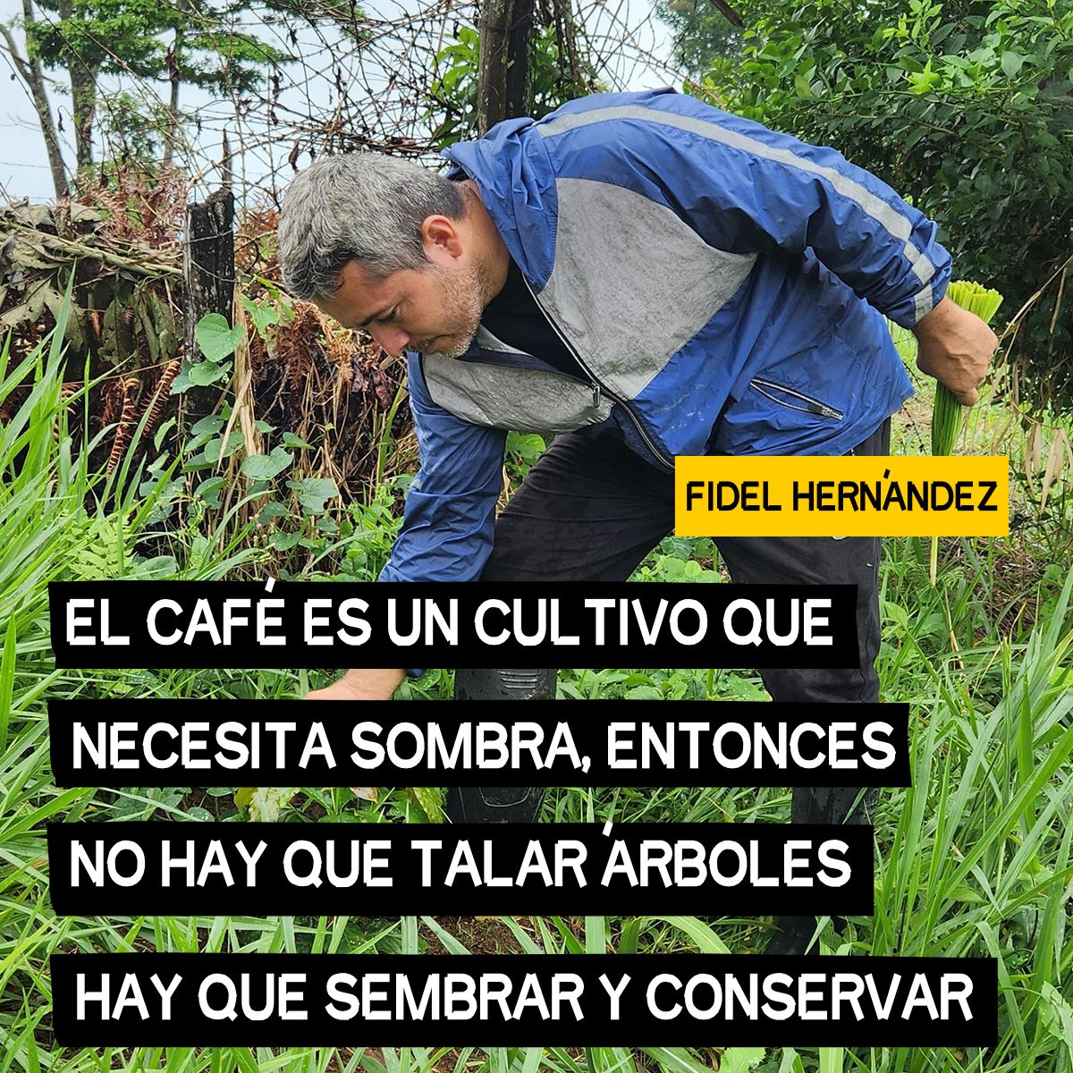 Fidel Hern&aacute;ndez, productor de caf&eacute; de Colombia en el programa Amazon&iacute;a Connect