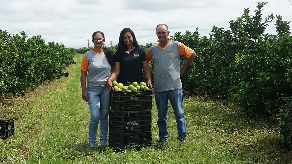 Fruto Resiliente 5 años transformando el sector citricola en Brasil