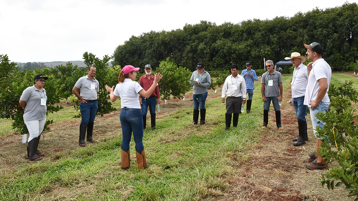 Fruto Resiliente, visita de campo para productores del sector citr&iacute;cola