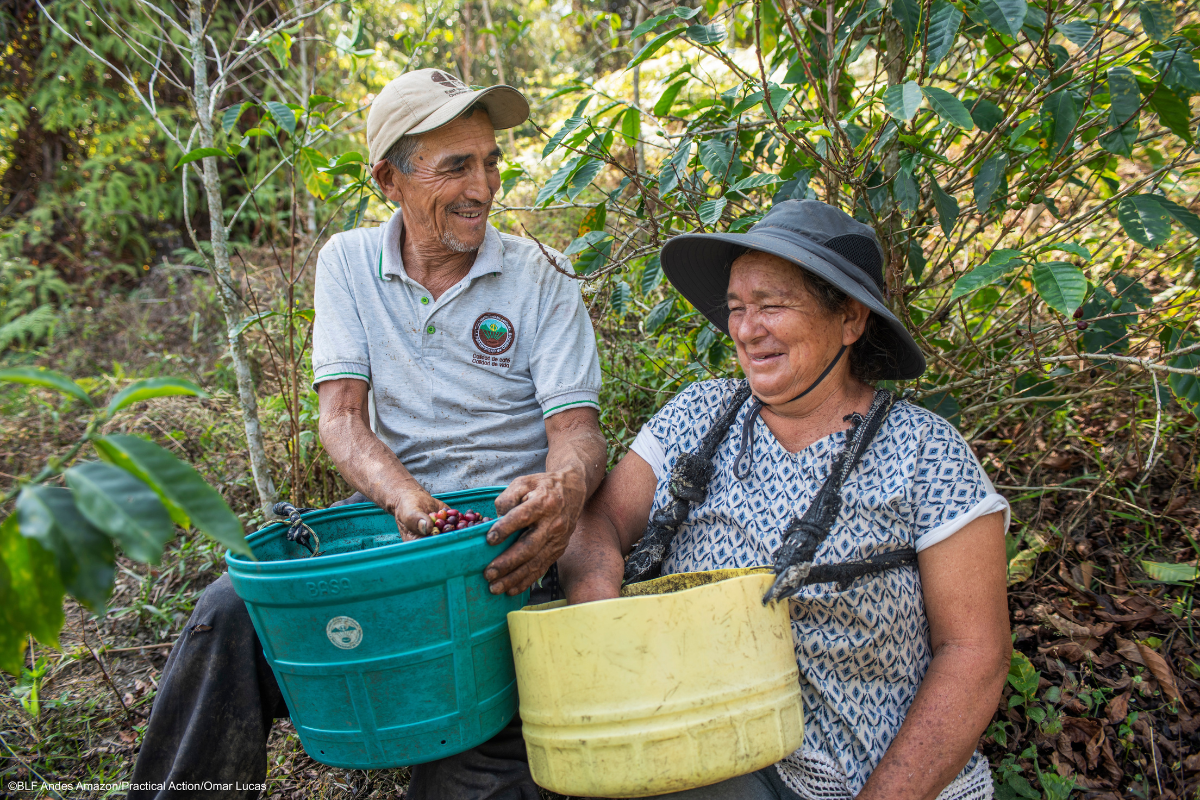 productores caf&eacute; per&uacute; de blf