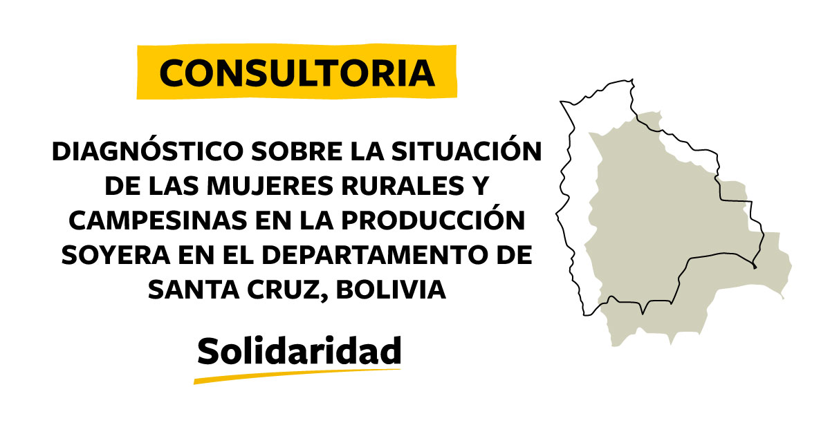 Consultoria Bolivia Diagnóstico situación mujeres rurales y campesinas