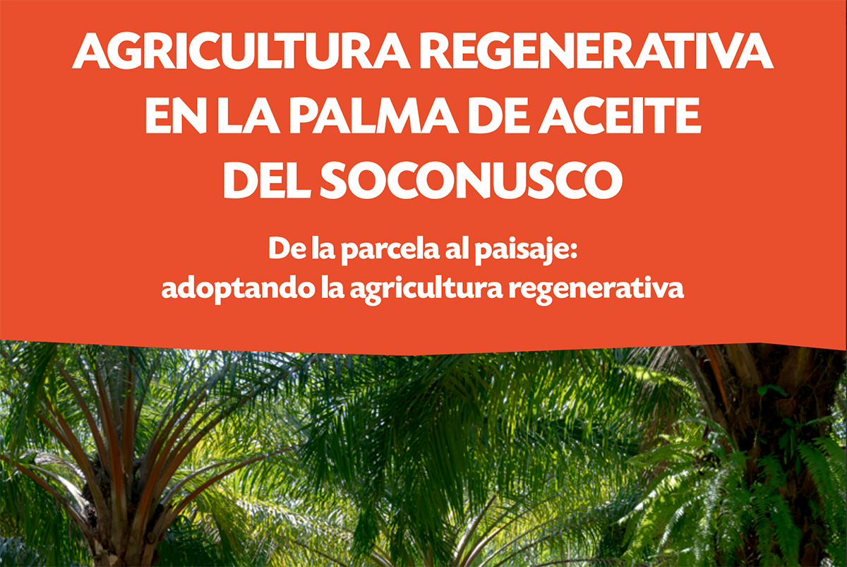 Publicacion Palma México