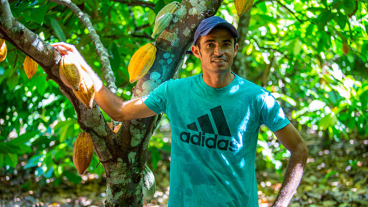 COP30 - Gesti&oacute;n de Bosques, Agroforesteria, Brasil