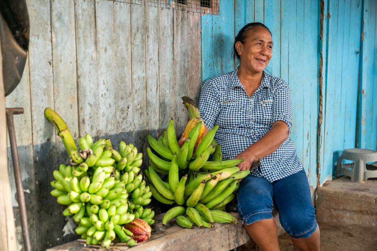 COP30 -Posicionamiento Solidaridad para una acción centrada en los productores